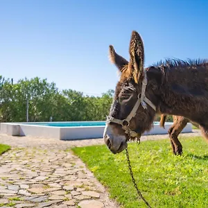 https://burro-ville.hotelaalgarve.com